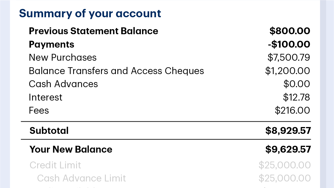 Account statement detailing an account summary